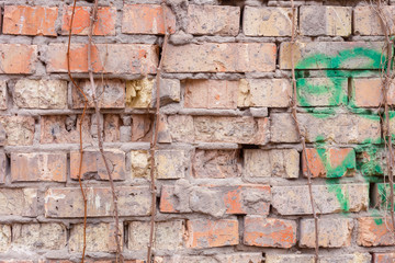 Texture of old brick wall