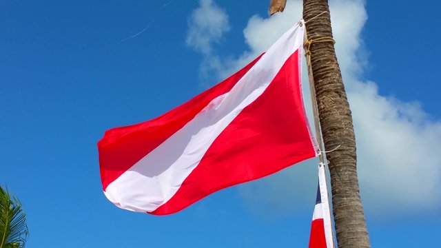 Diver down flag waving at punta cana in domenican republic