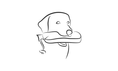 vector illustration of  dog labrador retriever