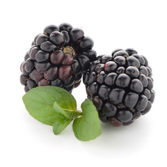 Blackberries with leaves