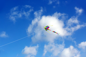 Kite in blue sky background