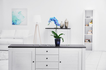Beautiful blue orchid flower on table in the white room