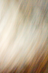 Color monochrome background