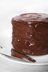 Chocolate cake on a plate with blade on light background, closeup