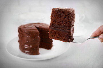 Chocolate cake on plate with a cut piece on light background