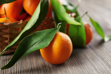 Fresh tangerines with leaves in basket on wooden table, closeup