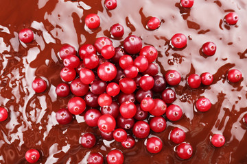 Chocolate cake with cranberries, macro view