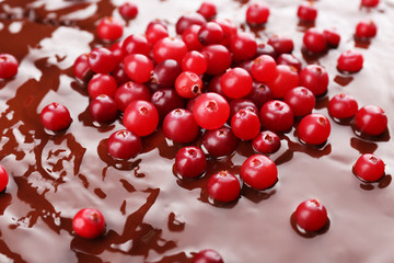 Chocolate cake with cranberries, macro view