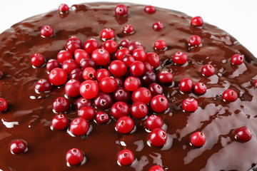 Chocolate cake with cranberries, closeup