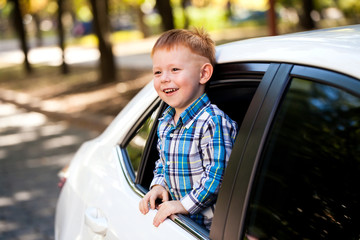 Adorable baby boy in the car