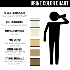 Urine color chart icon symbol sign vector pictogram info graphic
