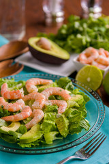Shrimp and Avocado Salad