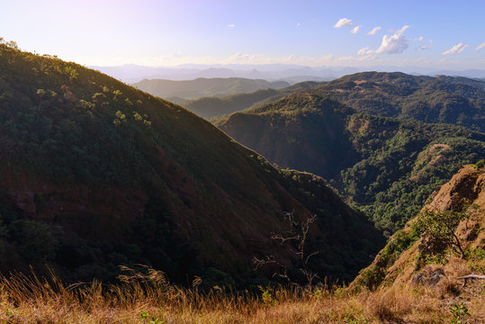 Fototapeta Beautiful tropical forest landscape in desertification area.