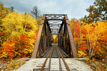 Railway bridge in woods
