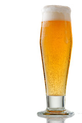 Cold Beer