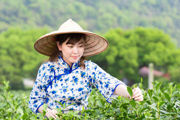 beautiful Asian girl in tea plantation