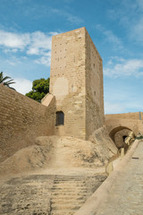 Castle tower