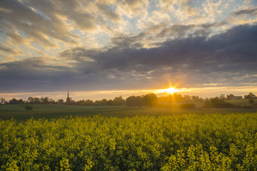 Fototapeta premium Wschód słońca nad wiosennym polem