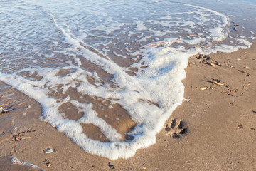 The waves lapping on shoreline beach sand and wash out the small