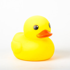bath duck om white background