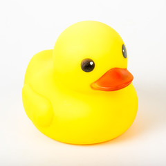 bath duck om white background