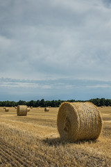 Field with haystacks