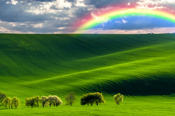 Green Hills with Trees and Rainbow