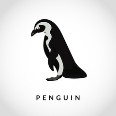 Penguin vector illustration