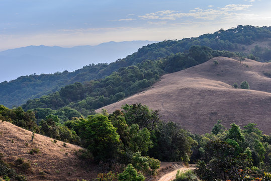 Fototapeta Beautiful tropical forest landscape in desertification area.
