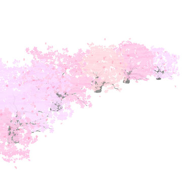 桜並木　背景