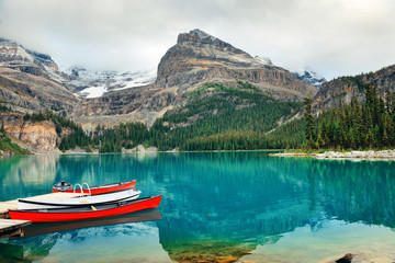 Obraz premium Yoho National Park