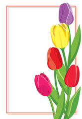 Vector postcard with colored tulips.