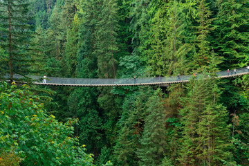 Capilano Suspension Bridge