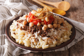 Egyptian Cuisine: kushari close-up on the plate. horizontal
