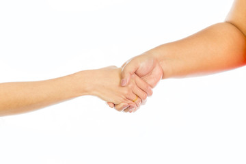 Handshake of women business partners in the office