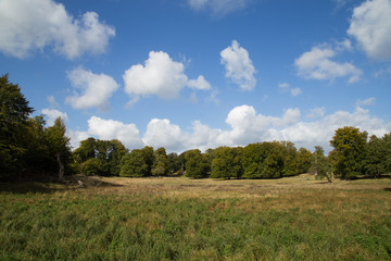 Landscape in Dyrehaven