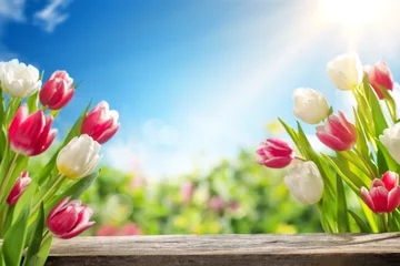 Meubelstickers Spring tulips © powerstock