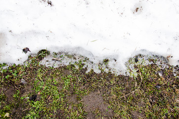 Melted Dirt  snow on a field.  background. Ground texture with branch and twig in spring. grass and snow.