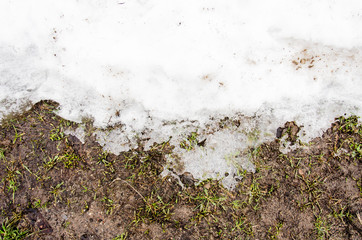 Melted Dirt  snow on a field.  background. Ground texture with branch and twig in spring. grass and snow.