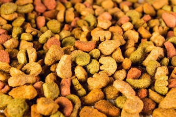 Dry dog or cat food. Macro shot.