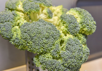 Head of broccoli on a kitchen counter
