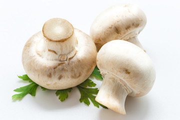 White mushrooms on white background