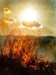 A fire in a forest glade