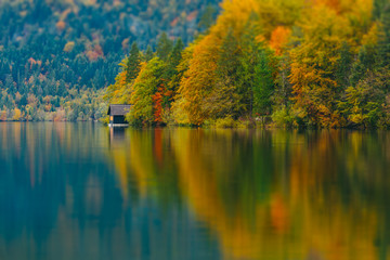 Obraz premium Breathtaking scenery of mountains, forests and lake with colorful reflections. Bohinj lake, Slovenia, Europe. Triglav national park.
