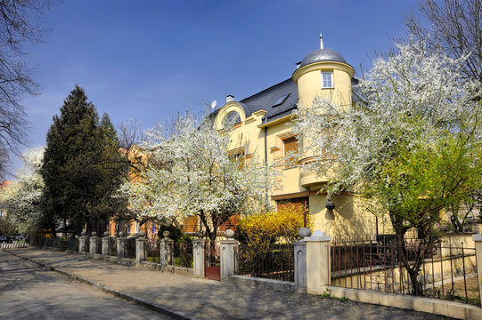 Spring in the historic center of Uzhgorod