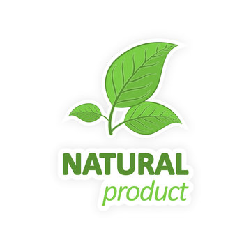 Natural product. Green leaves on a white background. Vector illustration.