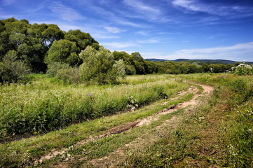 Fototapeta premium Field road in the valley Zakarpattya