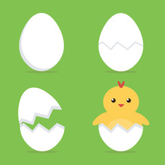 Fototapeta premium Baby chick hatching from the egg process. Flat design vector illustration. 