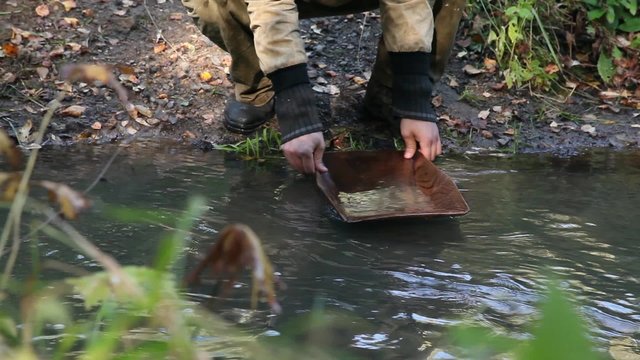 Close up of washing gravel from a gold pan. Gold mining on the river. miner washing gold in the pan. the cold river. autumn. forest. check rocks for gold. The old method of gold mining.