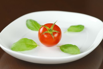 Single red tomato in water drops with basil leaves on white oval plate